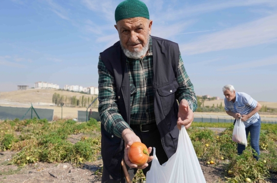 Bostanın son hasadı huzurevi sakinlerinden