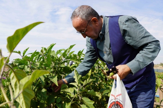 Bostanın son hasadı huzurevi sakinlerinden