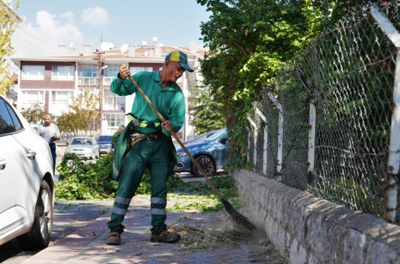 Keçiören`de mevsimlik budama çalışması