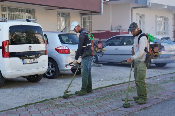 Keçiören`de mevsimlik budama çalışması