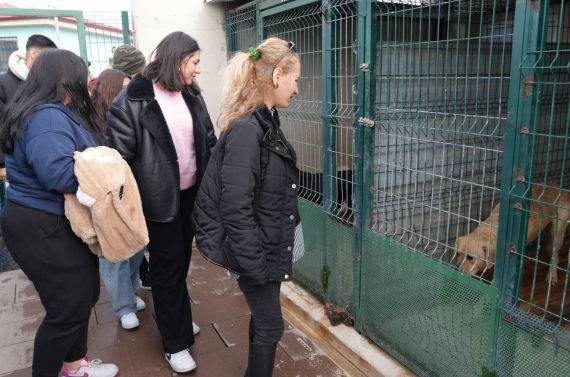 Patili dostlar artık dört gün misafir ağırlayacak